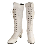 Brown and Black Victorian Style Steampunk Lace Pointed Toe Boots