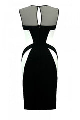 Jersa Fitted Cocktail Dress | Elegant Mesh Neckline Design