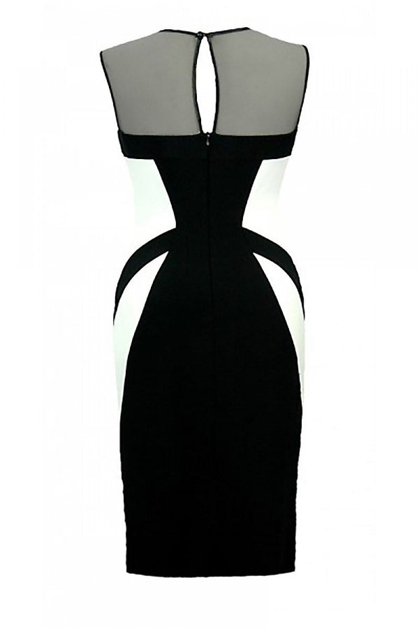 Jersa Fitted Cocktail Dress | Elegant Mesh Neckline Design