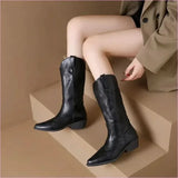 Fashion Embroidered Ladies Western Cowgirl Boots